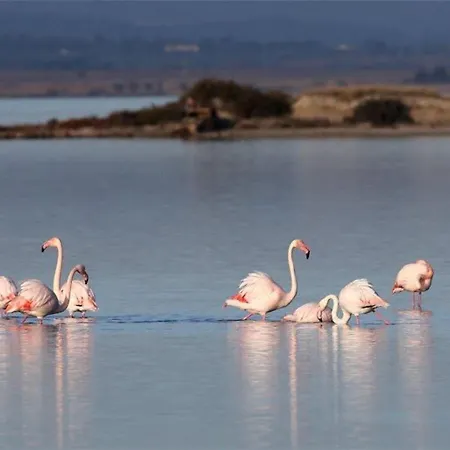 T2 Cabine, Proche Plage, Commerces, Parking Prive, Terrasse Sud-est, 5 Pers - Fr-1-326-582 公寓 *