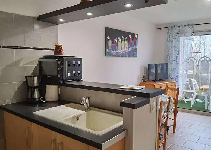 T2 Cabine, Proche Plage, Commerces, Parking Privé, Terrasse Sud-est, 5 Pers - Fr-1-326-582 Appartement